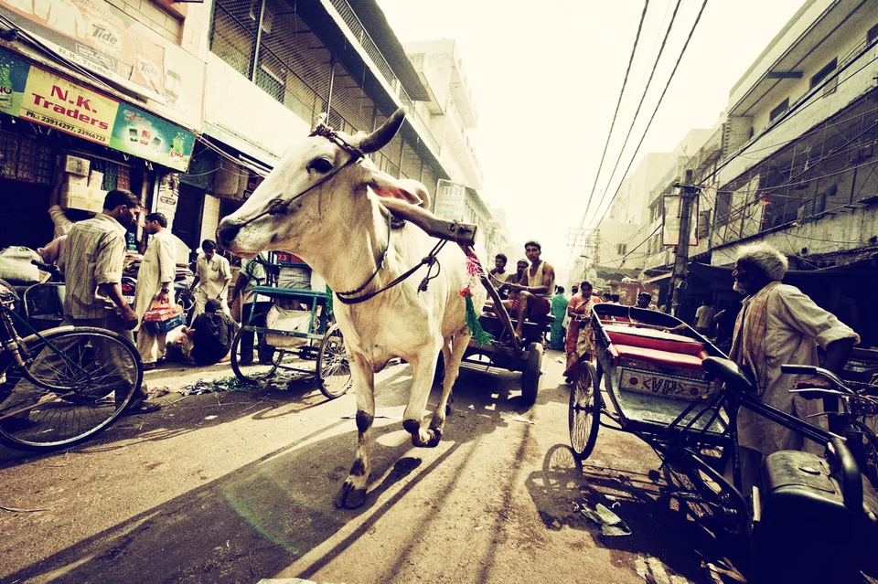 Straßenszene in Indien mit Kuh und Rikschas