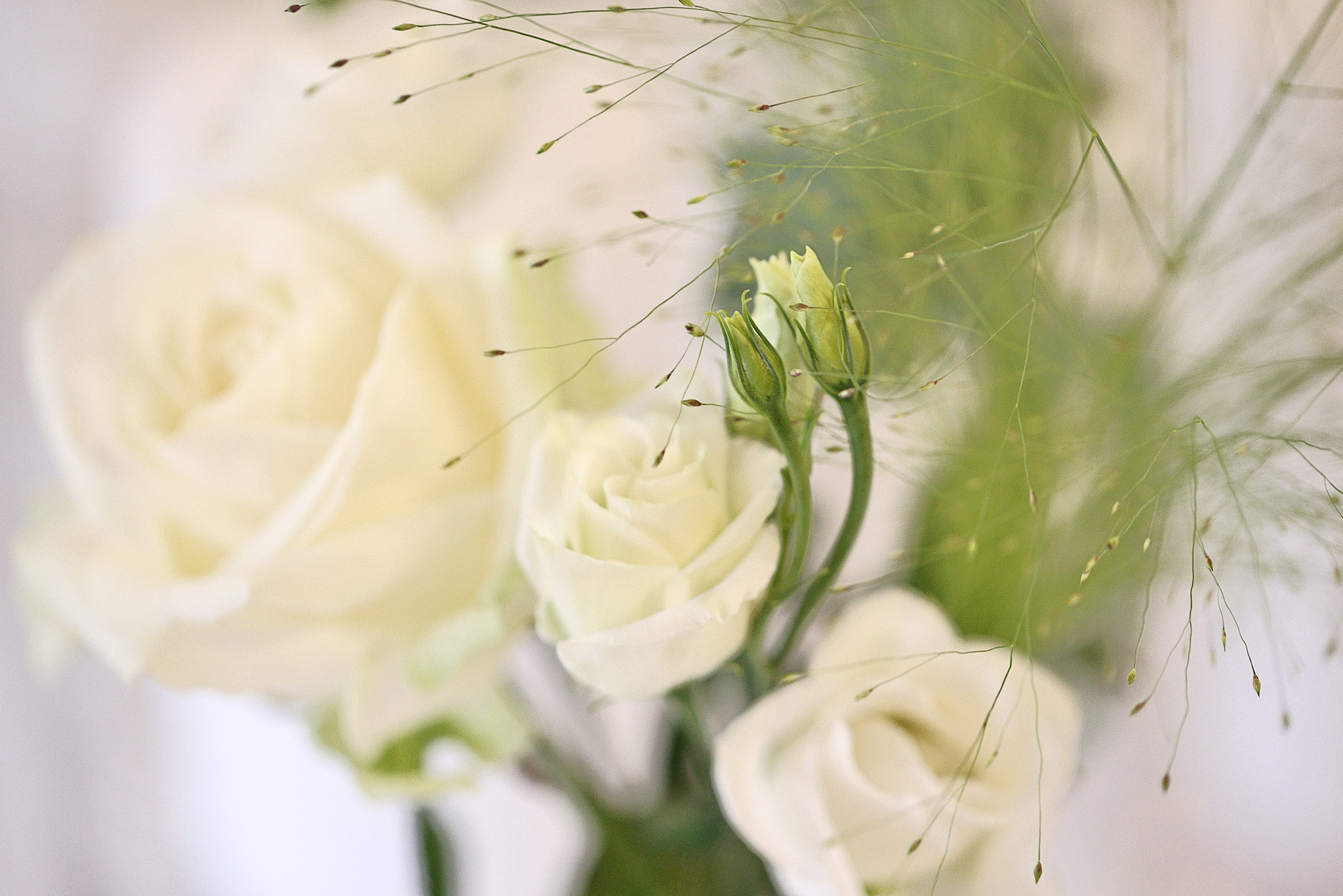 Stefan Kirch Photography background image